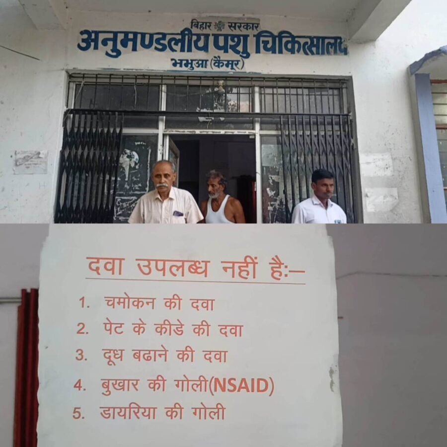 कैमूर: कैमूर के 22 पशु अस्पतालों में केवल 5 डॉक्टर, भगवान भरोसे पशुपालक जिले के केवल 3 अस्पतालों में डॉक्टर, 19 अस्पताल में खानापूर्ति