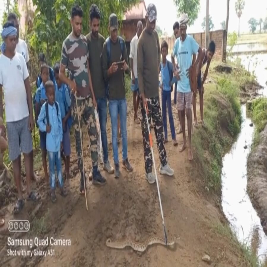 रोहतास: जहरीले सांप के स्कूल से घुसने से मचा अफरा तफरी
