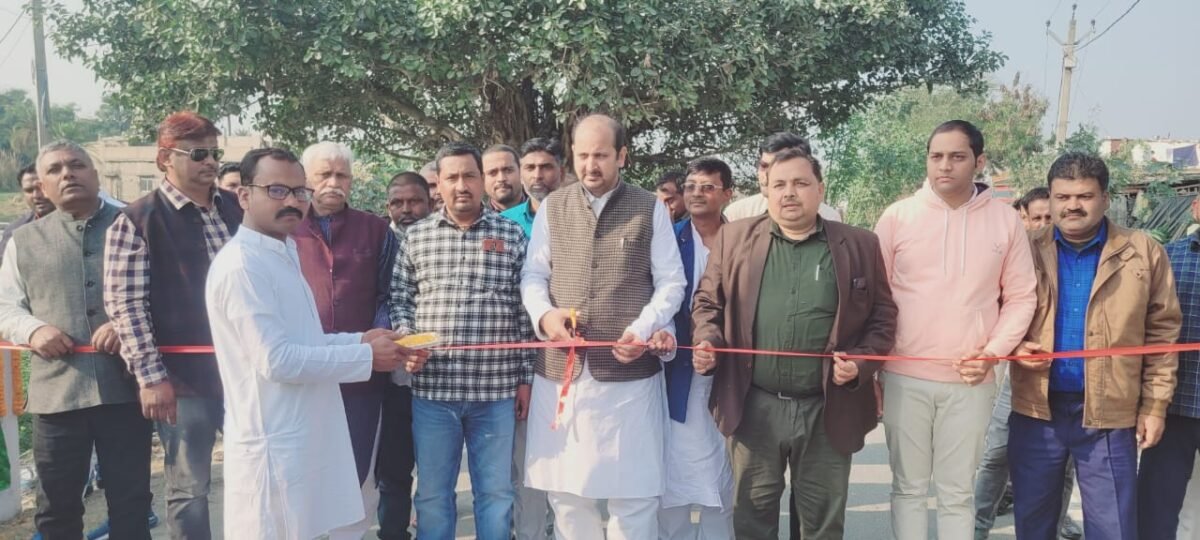 क्षेत्र के लोगों की आकांक्षाओं पर खरा उतरने का प्रयास कर रहा हूं/विधायक