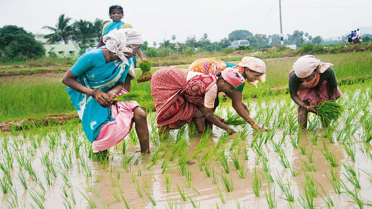 Good News For Farmers: सरकार का बड़ा ऐलान, होली पर किसानों को मिलेगी दो सौगात!