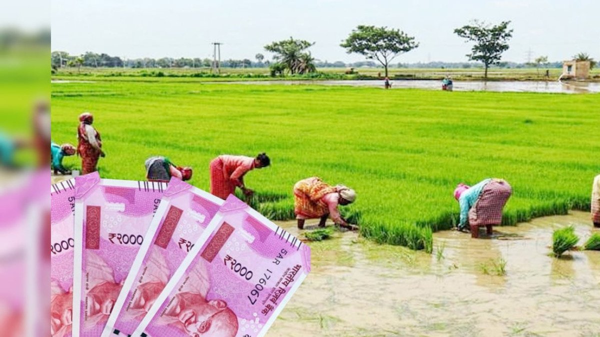 Kisan Credit Card: किसानों को लेकर वित्त मंत्रालय का बड़ा ऐलान, अब मिलेगा ज्यादा आर्थिक सहयोग