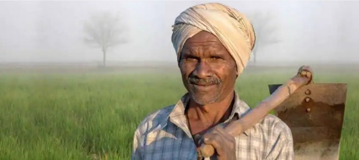 ऋण में दबे किसानों पर प्राकृतिक की दोहरी मार।