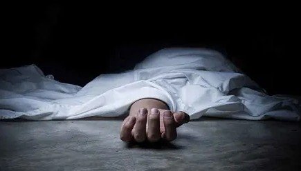 डिज्नीलैंड छुट्टी मनाने गई भारतीय मूल की महिला, बेटे को गला रेतकर मार डाला