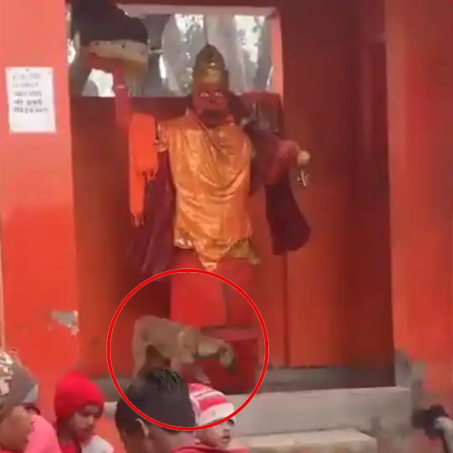 हनुमान मंदिर के चारों ओर तीन दिन से घूमता रहा कुत्ता, वीडियो वायरल